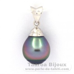 Ciondolo in Argento e 1 Perla di Tahiti Cerchiate B 9.6 mm