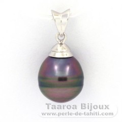 Ciondolo in Argento e 1 Perla di Tahiti Cerchiate C 9.9 mm