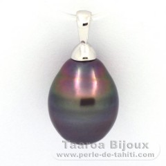 Ciondolo in Argento e 1 Perla di Tahiti Cerchiate B 12 mm