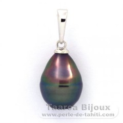 Ciondolo in Argento e 1 Perla de Tahiti Cerchiate B 9.2 mm