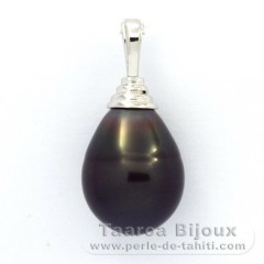 Ciondolo in Argento e 1 Perla de Tahiti Cerchiate B 12.5 mm