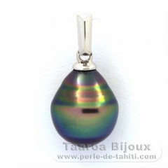 Ciondolo in Argento e 1 Perla de Tahiti Cerchiate C 9.2 mm