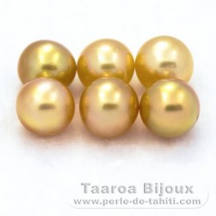 Lotto di 6 Perle di Australia Semi-Rotonda C di 8.7 a 8.9 mm