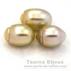 Lotto di 3 Perle di Australia Semi-Barroca B di 11 a 11.4 mm