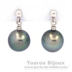 Orecchini in Oro bianco 18K e 2 Perle di Tahiti Semi-Rotonda B 8.4 mm