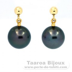 Orecchini in Oro 18K e 2 Perle di Tahiti Rotonda B 8.2 mm