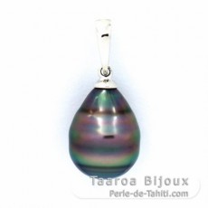 Ciondolo in Argento e 1 Perla di Tahiti Cerchiate C 10.1 mm