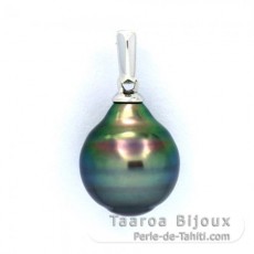 Ciondolo in Argento e 1 Perla di Tahiti Cerchiate B 10.2 mm