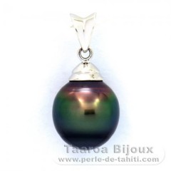 Ciondolo in Argento e 1 Perla di Tahiti Cerchiate C 10.1 mm