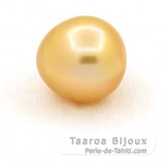Perla de Australia Semi-Barocca C 13.1 mm