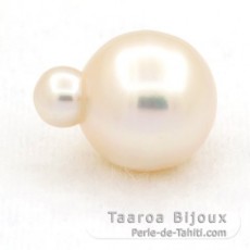Perla de Australia Cerchiate C 14.6 mm