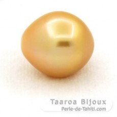 Perla de Australia Semi-Barocca C 13.5 mm