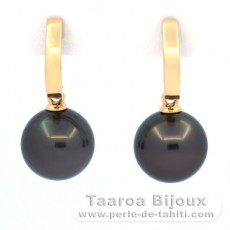 Orecchini in Oro 18K e 2 Perle di Tahiti Rotonde B 9.5 mm