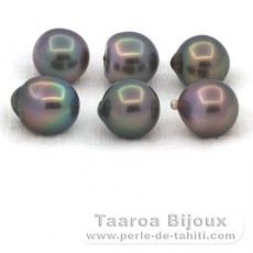 Lotto di 6 Perle di Tahiti Semi-Barroca B di 9.5 a 9.8 mm