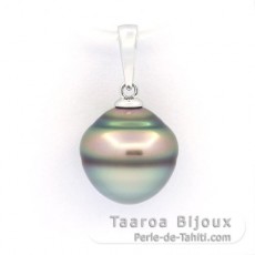 Ciondolo in Argento e 1 Perla de Tahiti Cerchiate C 11.3 mm