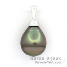 Ciondolo in Argento e 1 Perla de Tahiti Cerchiata B 10.6 mm