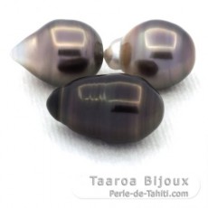 Lotto di 3 Perle di Tahiti Cerchiate C di 9.5 a 9.8 mm