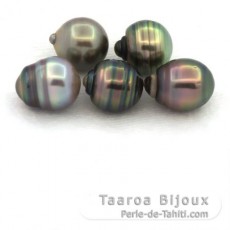 Lotto di 5 Perle di Tahiti Cerchiate C di 9.4 a 9.9 mm