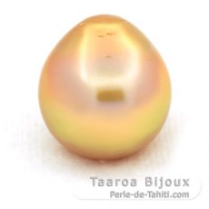 Perla de Australia Semi-Barocca CD 14.2 mm