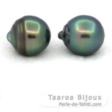 Lotto di 2 Perle di Tahiti Cerchiate C 13.5 mm