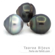 Lotto di 3 Perle di Tahiti Cerchiate C di 12.5 a 12.9 mm
