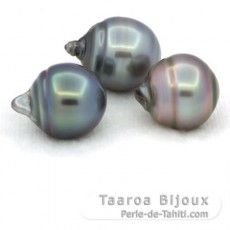 Lotto di 3 Perle di Tahiti Cerchiate C di 11.6 a 11.8 mm