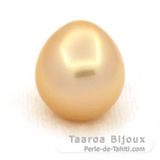 Perla de Australia Semi-Barocca B 13.6 mm