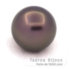 Perla di Tahiti Rotonda C 14.1 mm