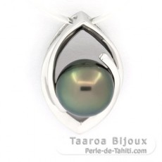 Ciondolo in Argento e 1 Perla de Tahiti Rotonda C 9.4 mm