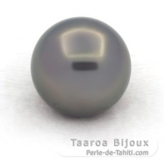 Perla di Tahiti Rotonda C 13.7 mm