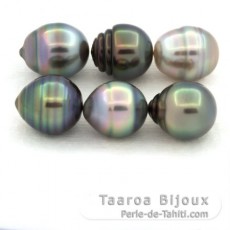 Lotto di 6 Perle di Tahiti Cerchiate B di 9.1 a 9.4 mm