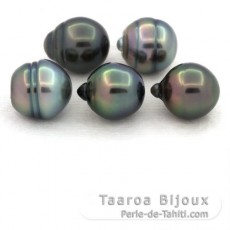 Lotto di 5 Perle di Tahiti Cerchiate B di 10 a 10.4 mm
