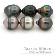Lotto di 6 Perle di Tahiti Cerchiate B di 9.7 a 9.9 mm