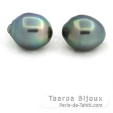 Lotto di 2 Perle di Tahiti Cerchiate B 11.6 mm