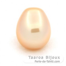 Perla de Australia Semi-Barocca C 12.2 mm