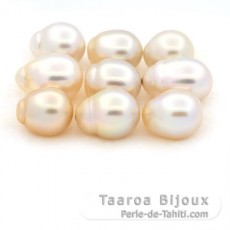 Lotto di 9 Perle di Australia Semi-Barroca B/C di 12 a 12.6 mm