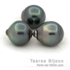 Lotto di 3 Perle di Tahiti Cerchiate C di 12.8 a 12.9 mm