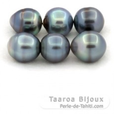Lotto di 6 Perle di Tahiti Cerchiate C di 12.5 à 13.1 mm