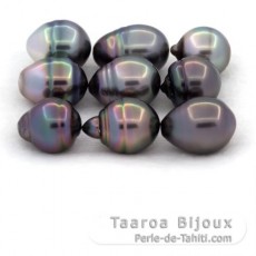 Lotto di 9 Perle di Tahiti Cerchiate C di 10.5 a 10.9 mm