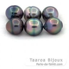 Lotto di 6 Perle di Tahiti Cerchiate B di 11 a 11.2 mm