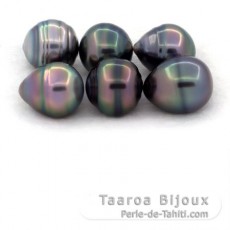 Lotto di 6 Perle di Tahiti Cerchiate C di 11 a 11.5 mm