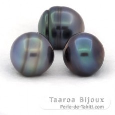 Lotto di 3 Perle di Tahiti Cerchiate C di 12.2 a 12.4 mm