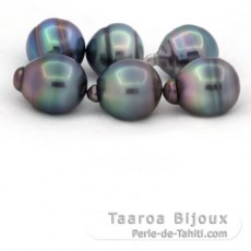 Lotto di 6 Perle di Tahiti Cerchiate B/C di 12 a 12.4 mm