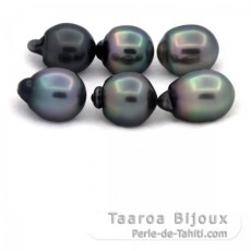 Lotto di 6 Perle di Tahiti Semi-Barroca B/C di 11.5 a 11.9 mm
