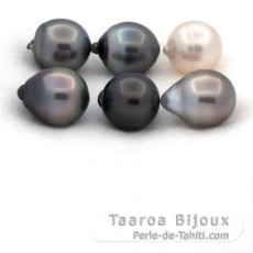 Lotto di 6 Perle di Tahiti Semi-Barroca C di 11.6 a 11.8 mm