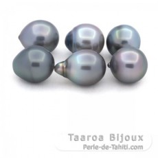 Lotto di 6 Perle di Tahiti Semi-Barroca B di 11.1 a 11.4 mm
