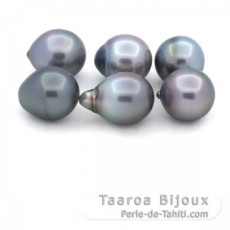 Lotto di 6 Perle di Tahiti Semi-Barocche B di 11.1 a 11.4 mm