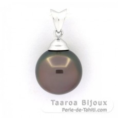 Ciondolo in Argento e 1 Perla di Tahiti Semi-Rotonda C 11.7 mm