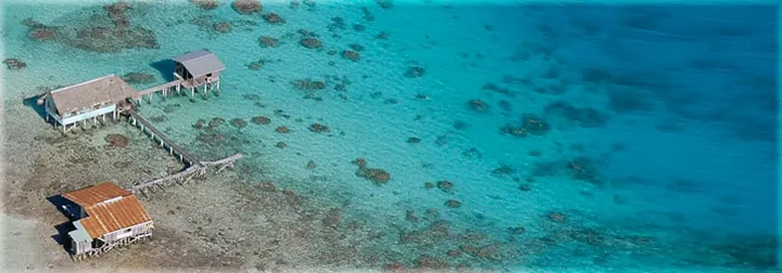 Allevamento di perle nelle Tuamotu